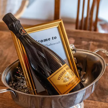 Luxe Paradise - 4 Person, Historic Center Lejlighed *