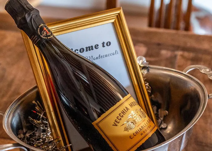 Luxe Paradise - 4 Person, Historic Center شقة *